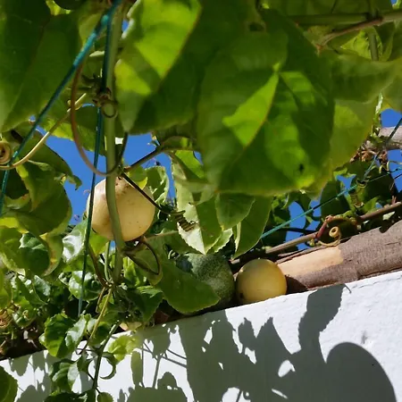 Bed and breakfast Timanfaya 3*